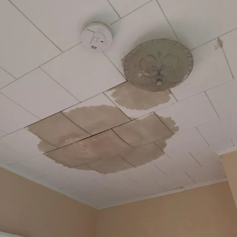 Ceiling Water Damage Repair in Solomon, KS