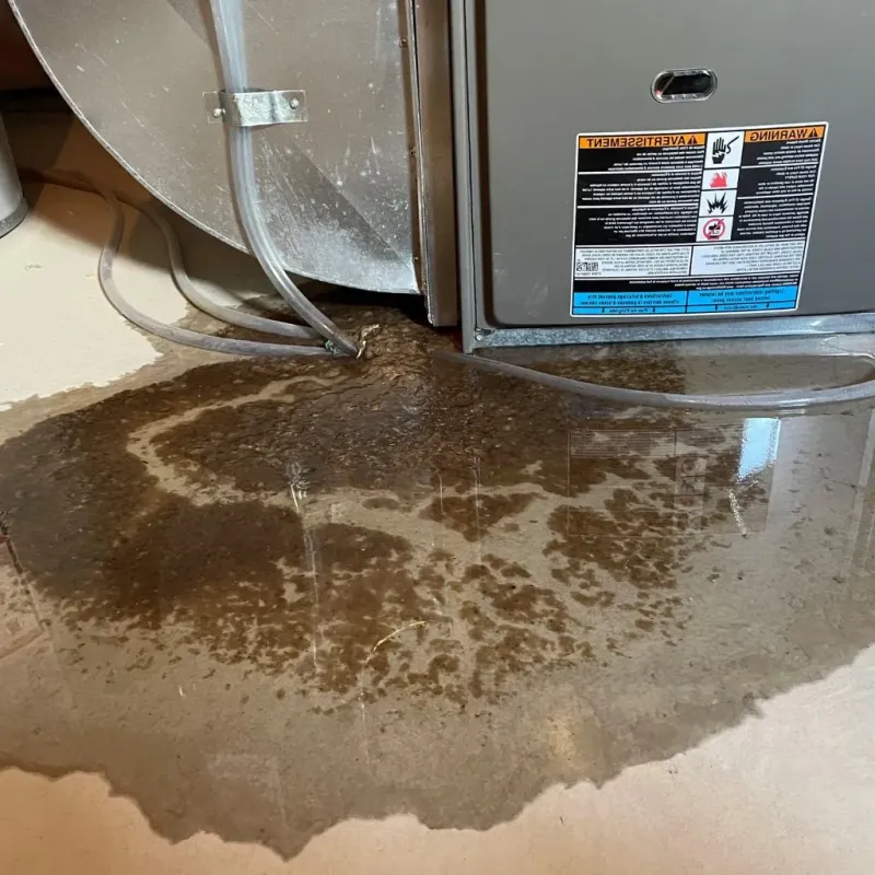 Pipe Burst and Leak Restoration in Solomon, KS