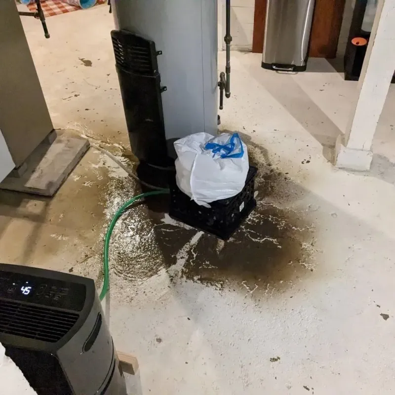 Sewage Backup Cleanup Service in Solomon, KS